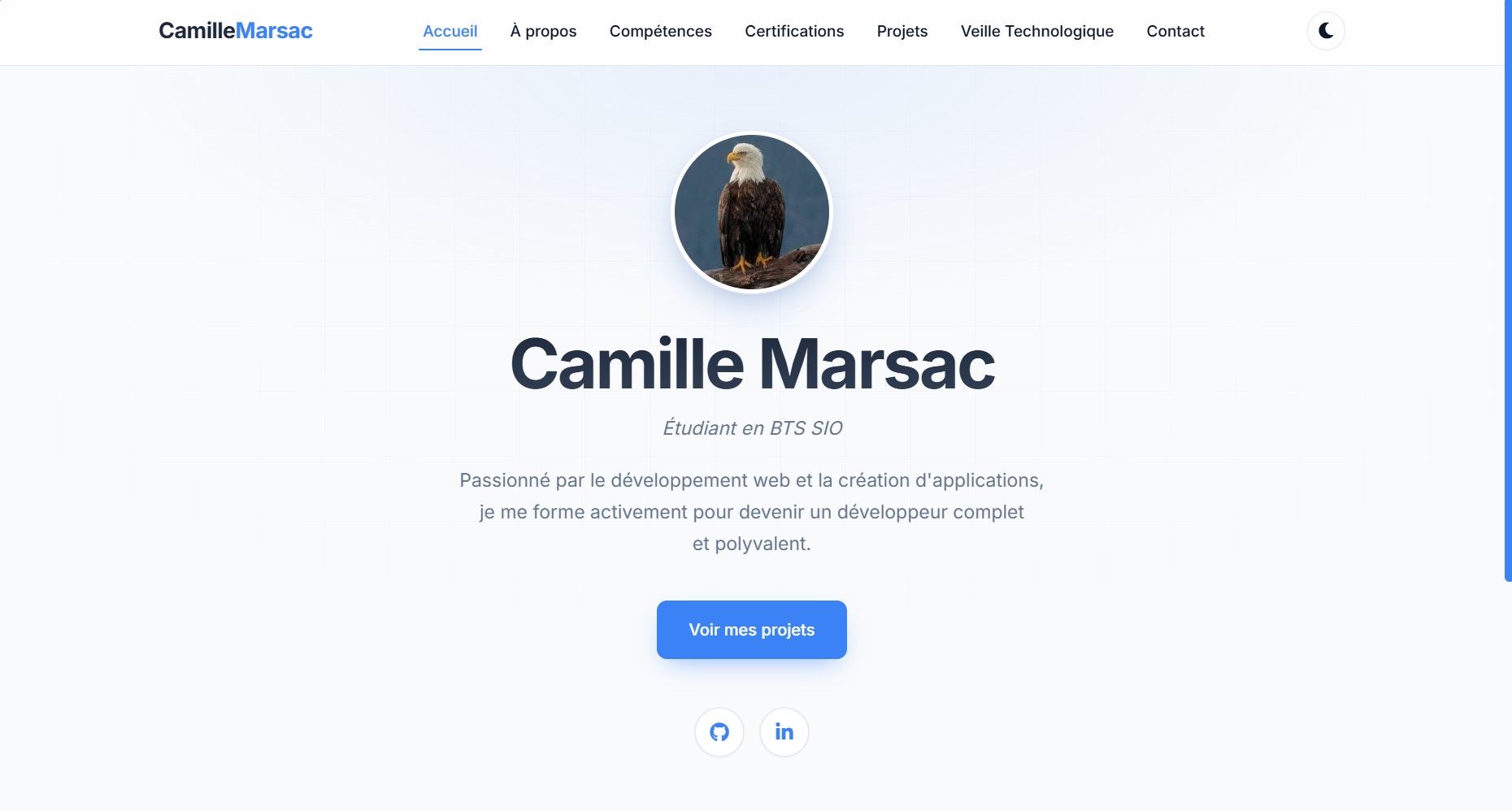 Portfolio personnel de Camille Marsac